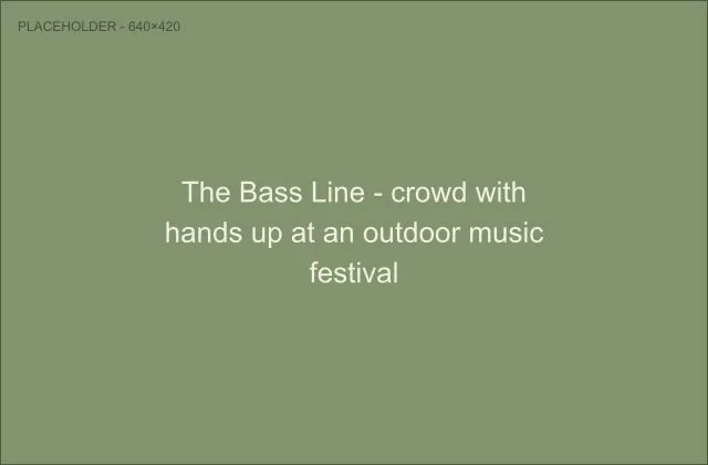 Crowd with hands up at an outdoor music festival, representing the Bass Line music industry economic study